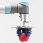 Pneumatic Flexible Robot Gripper Increasing Production Capacity
